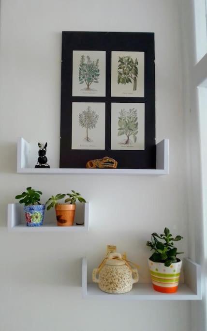 Ma City Apartment Ζαντάρ Εξωτερικό φωτογραφία